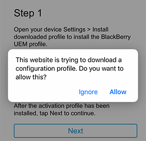 Image of Website downloading a configuration profile pop-up message