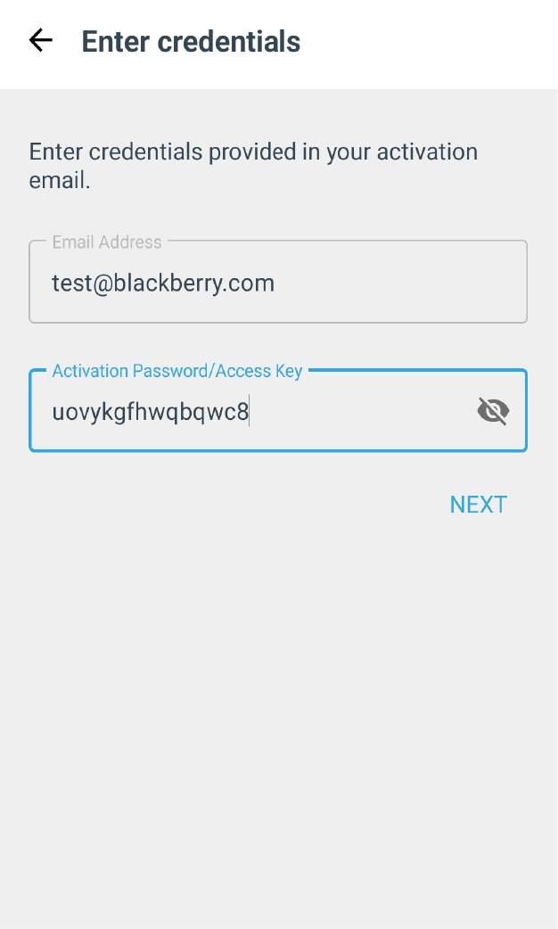 Screenshot of entering the blackberry email and access key