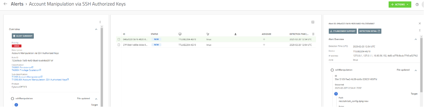 Screenshot showing alert details in the Alerts view.