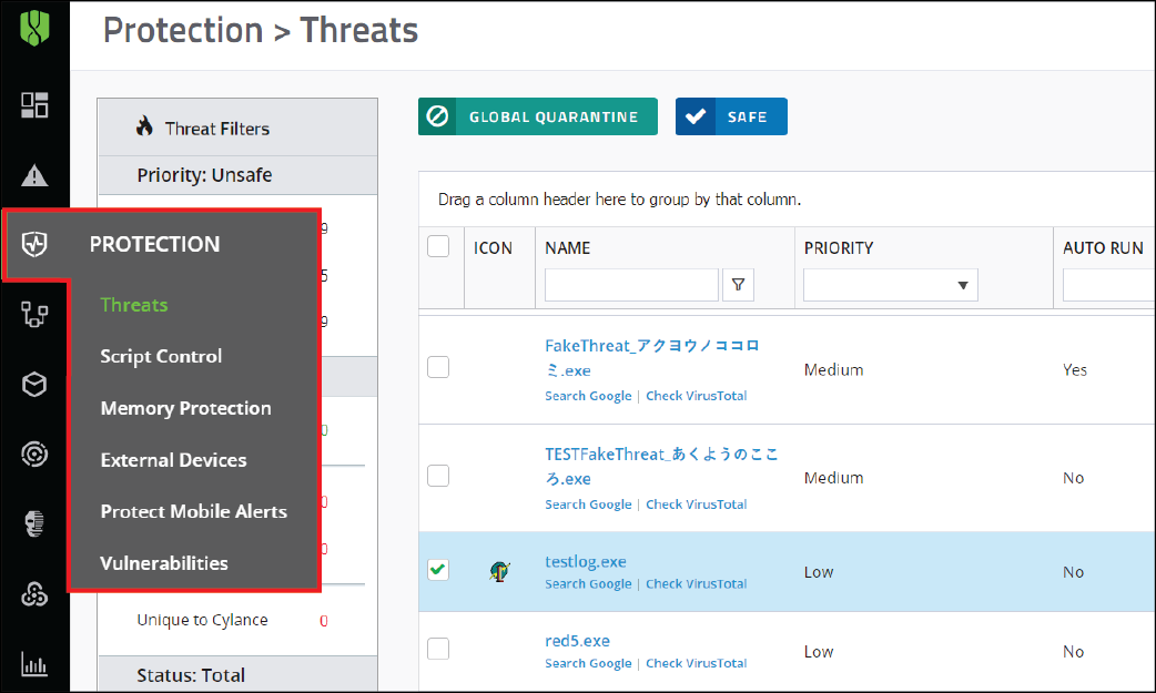 Screenshot of Protection tab in the management console