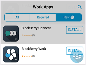 Screenshot of BlackBerry Work in the app catalog